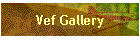 Vef Gallery